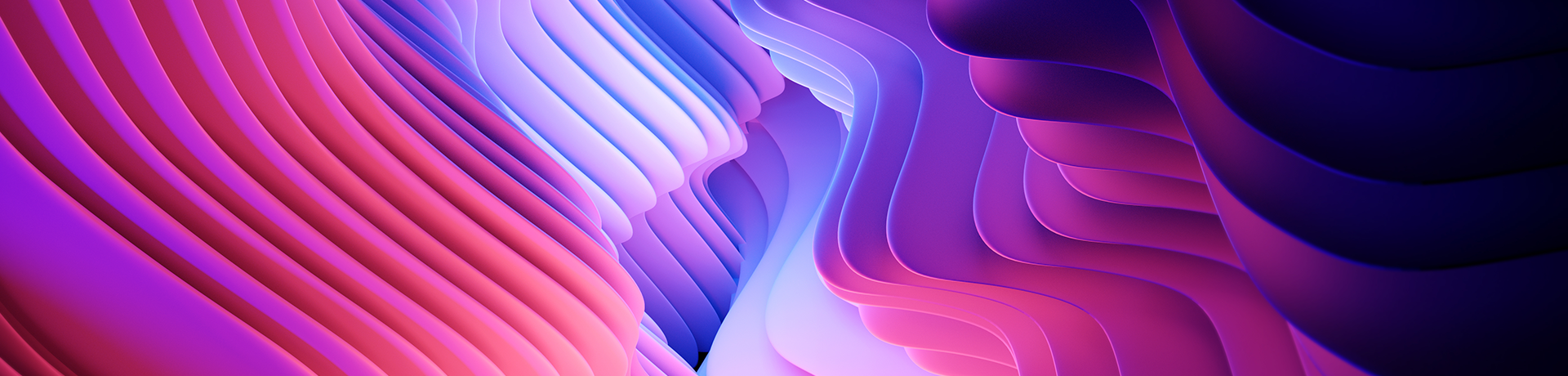 Insight_Header