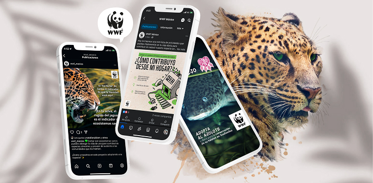Foto WWF