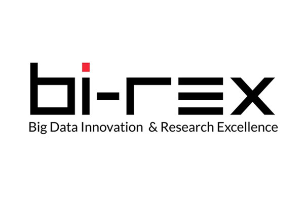 logo-birex