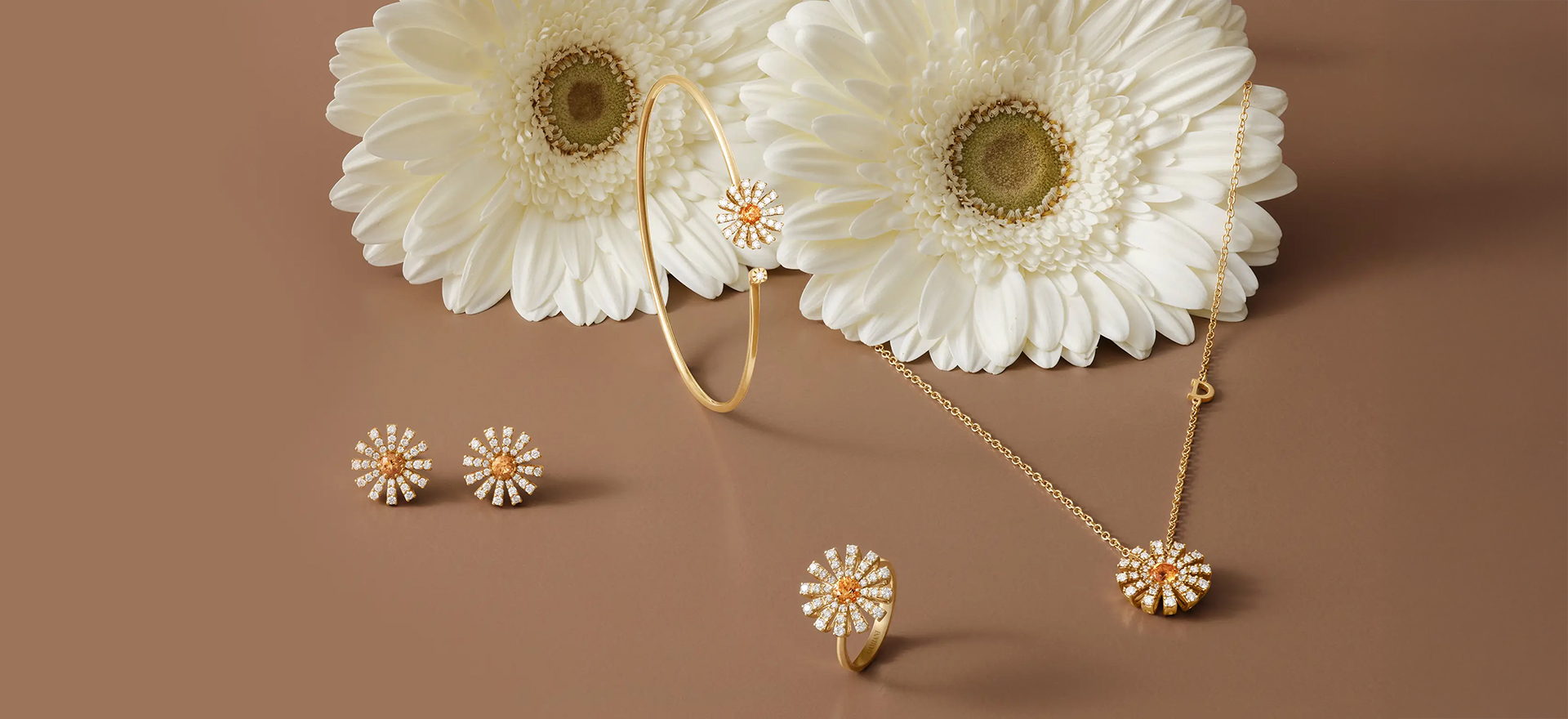 damiani1920x880