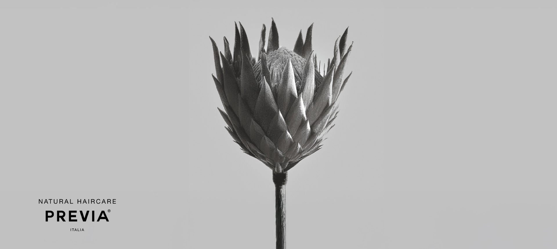 Ubics_News_Previa_1920x860_1 (1)