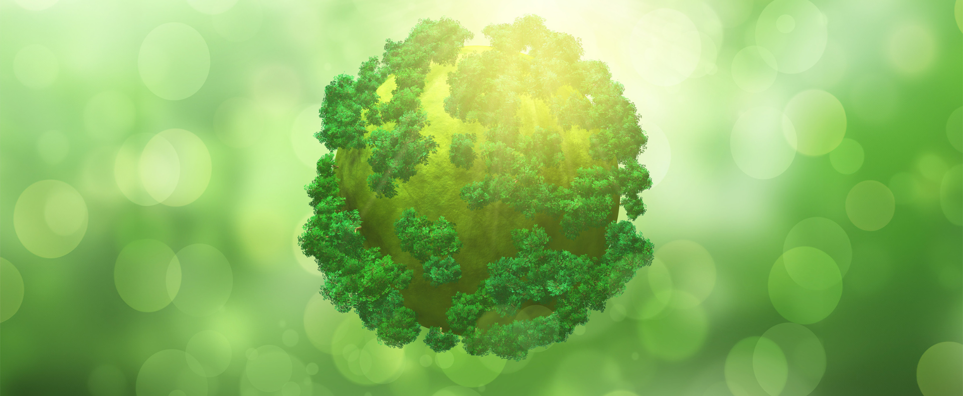 header zing sustainability