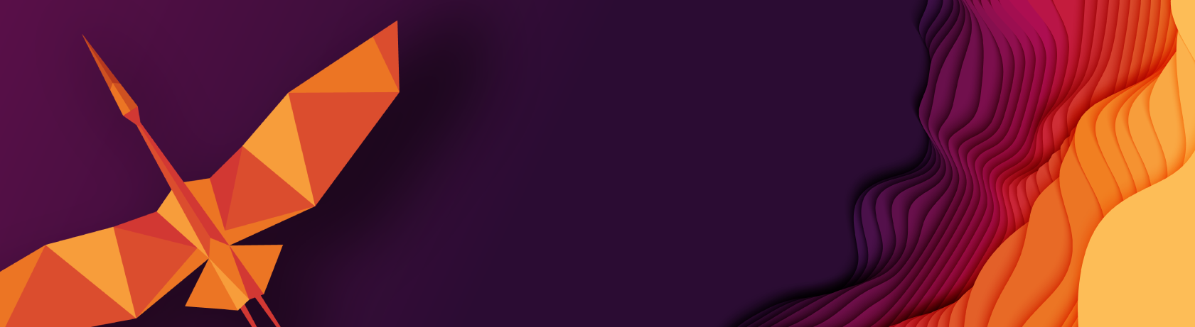 Immagine banner visual Z!ng 2025