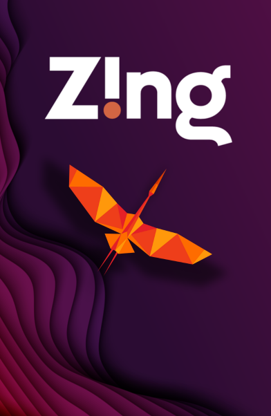 Immagine banner visual Z!ng 2025