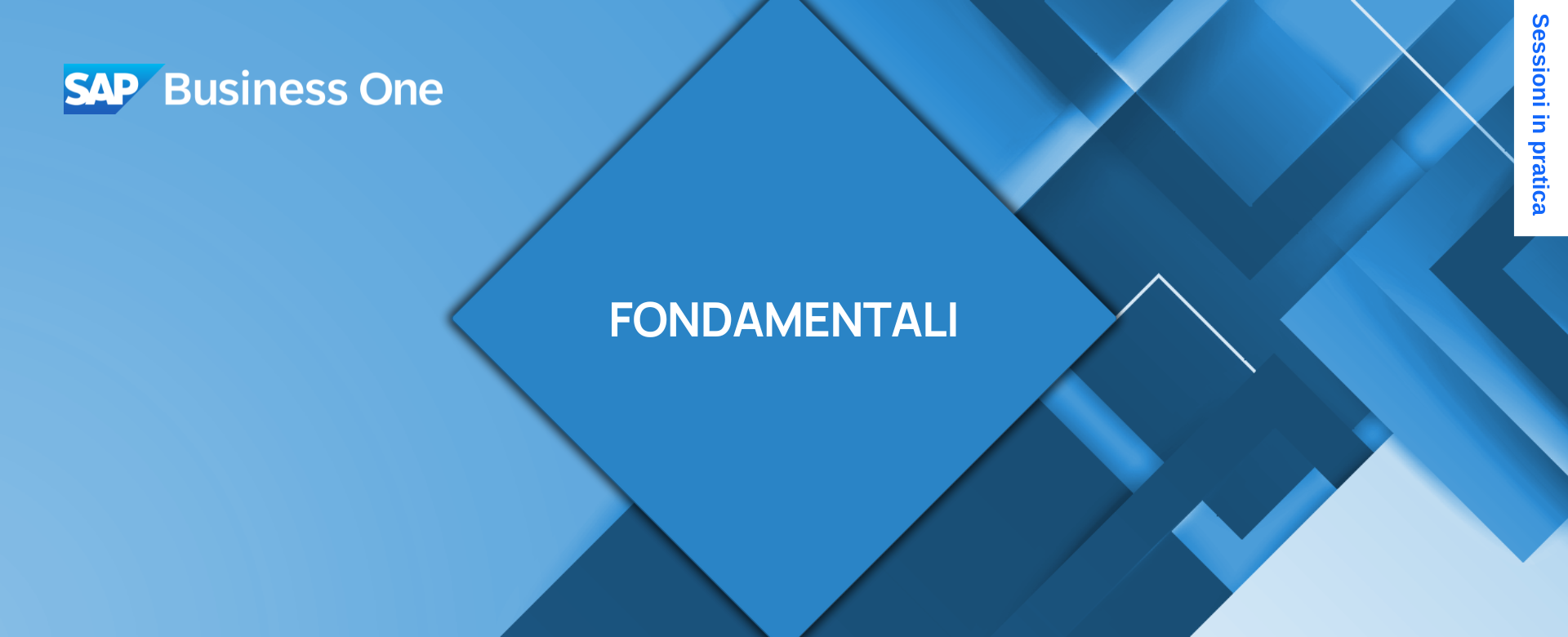 SAP Business One In pratica Fondamentali