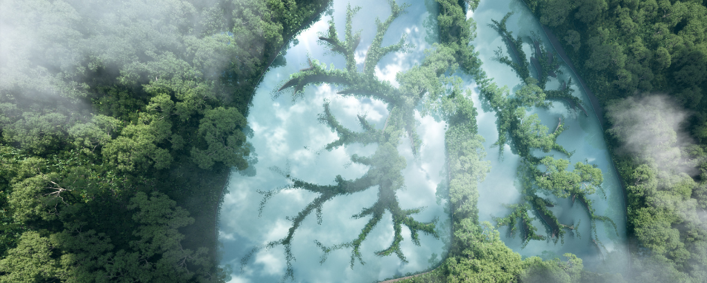 coni gelato con preparato in polvere