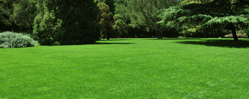 coni gelato con preparato in polvere