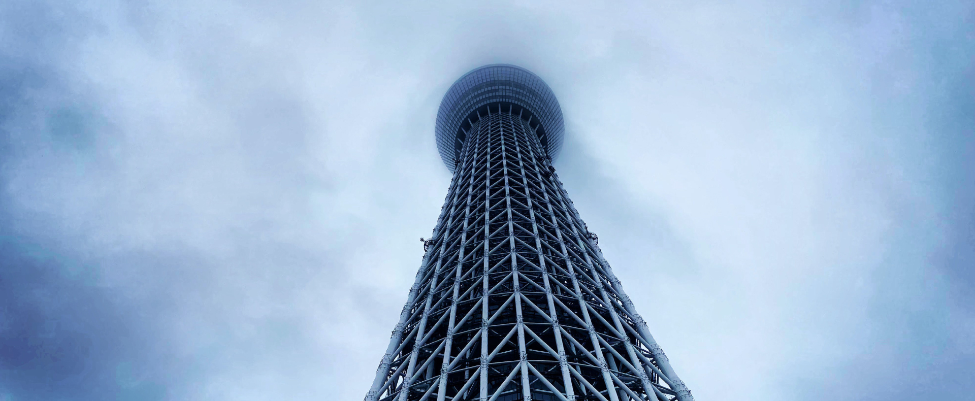 avatel-telecom-case-study